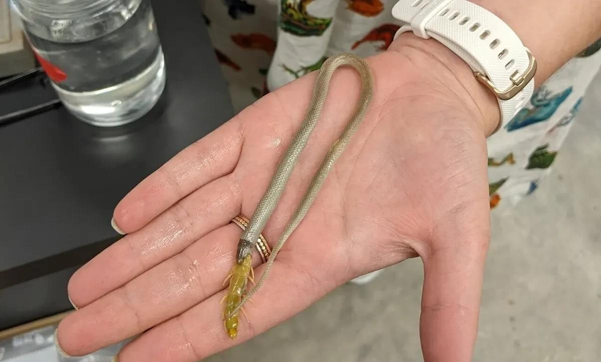 15个匪夷所思的奇闻异事,让人难以置信,竟然都是真的