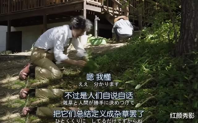 日剧|每集20分钟，却治愈了我的一生