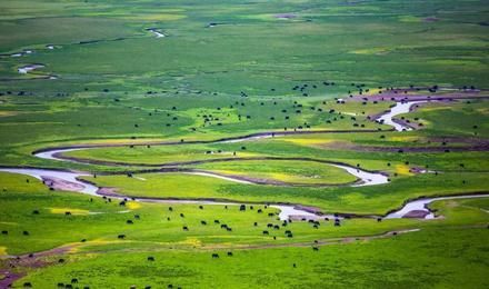 草原|中国最壮观的6个牧场，您认同吗？还有哪个有争议？