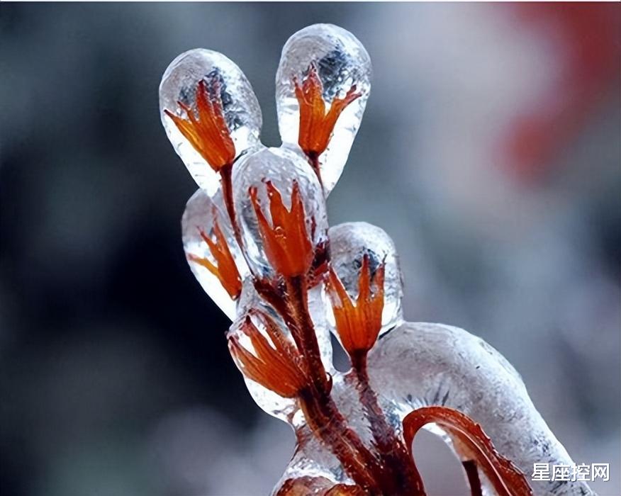 |啥日子出生的人,低谷期多努力,改变命运迎接人生红利,福气深厚