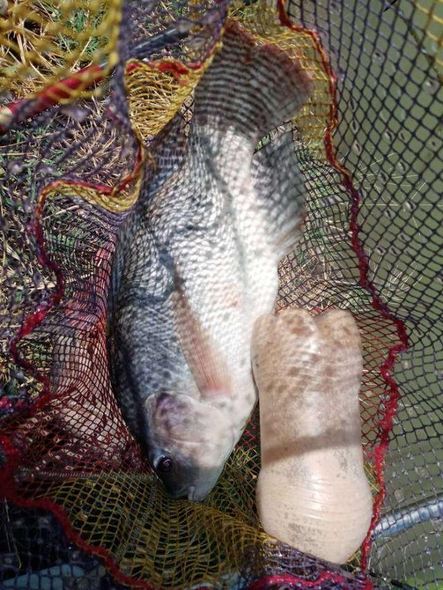 |再战X基地,这次想要爆护不容易