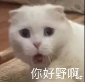 韩天宇|凭一己之力盘活奥运直播间，说他是社交悍匪没意见吧？