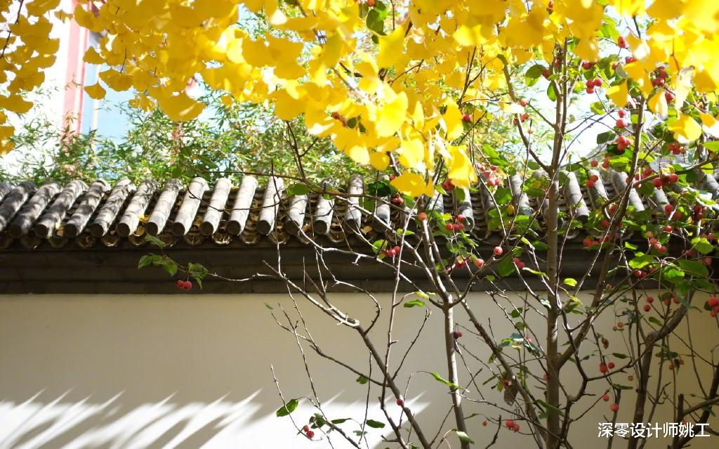 张馨予|3位女明星庭院大PK,小孩子才做选择我都爱,是我理想中生活没错了