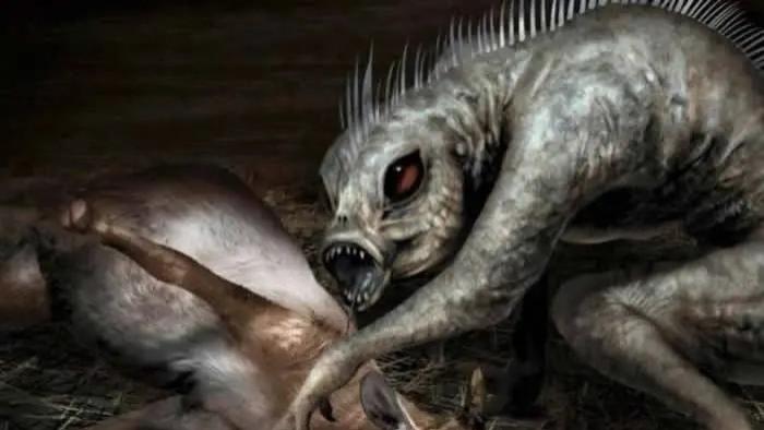 卓柏卡布拉吸血怪兽