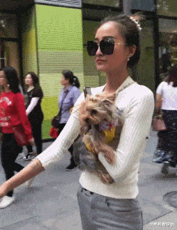 acgn漫评|“让一个动漫角色住在你家,你会选择谁?”网友的回复很真实!哈哈哈