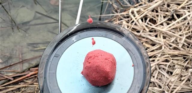 饵料|夏天的鱼情变化大,在调钓、饵料方面作出调整,一样有不错的渔获