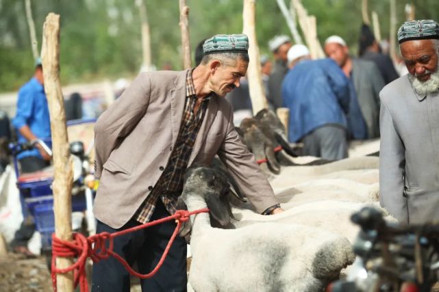 喀什|味道太上头！中国最特别的市集：新疆喀什牛羊大巴扎，原始粗犷