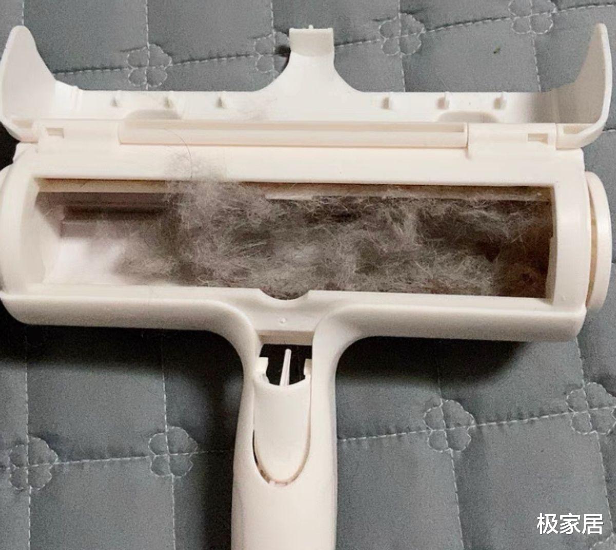 为什么家里总有“飞尘、毛絮”?教你这么做,让毛絮自动消失