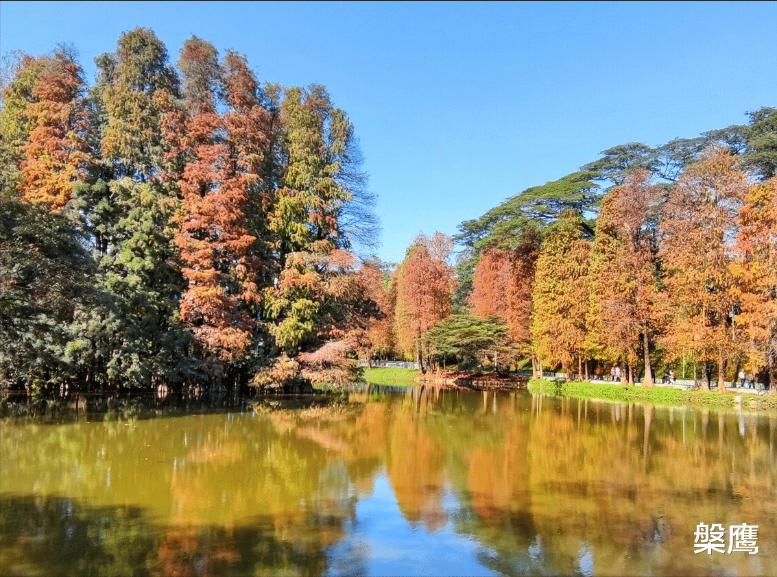 手机行业|把你变强的经验，销售出去