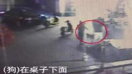 上海男子遛狗不拴绳被路人骂，抄起板凳狠砸七下，冲动行为酿血案