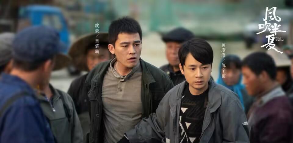 野蛮生长|《风吹半夏》虽已改名,但主角命运早已注定,全员悲惨、不得往生