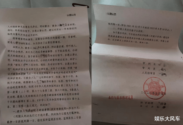 陈亚男|陈亚男晒绑架判决书，涉及到案件细节与朱之文，网友：快退网吧