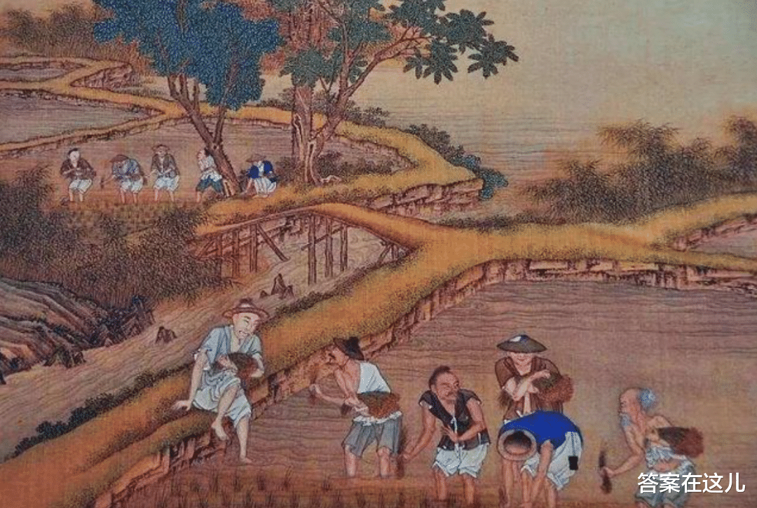 10000年以前的玉米,还只是一棵平凡的野生杂草,它经历了什么?