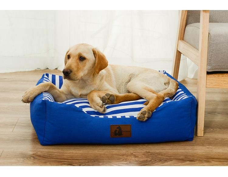 敲重点了!请大数据把我推给有宠物的家庭