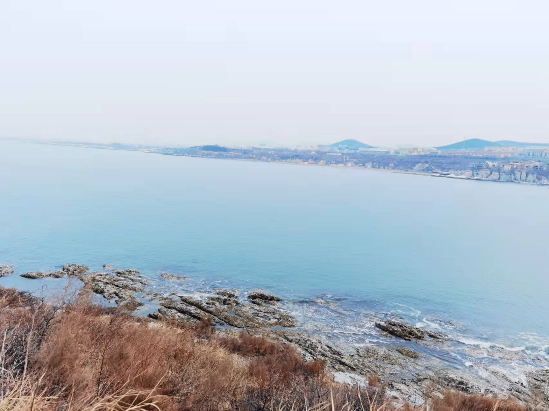 江苏省|“我连房子都租不起了,我能有啥看法?”