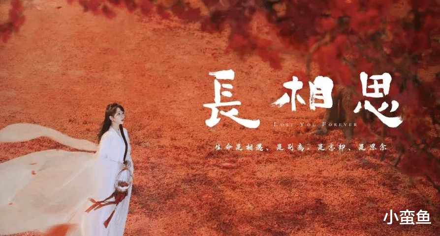 杨紫|杨紫，肖战《玉骨遥》，霍尊，《暮色心约》，安以轩