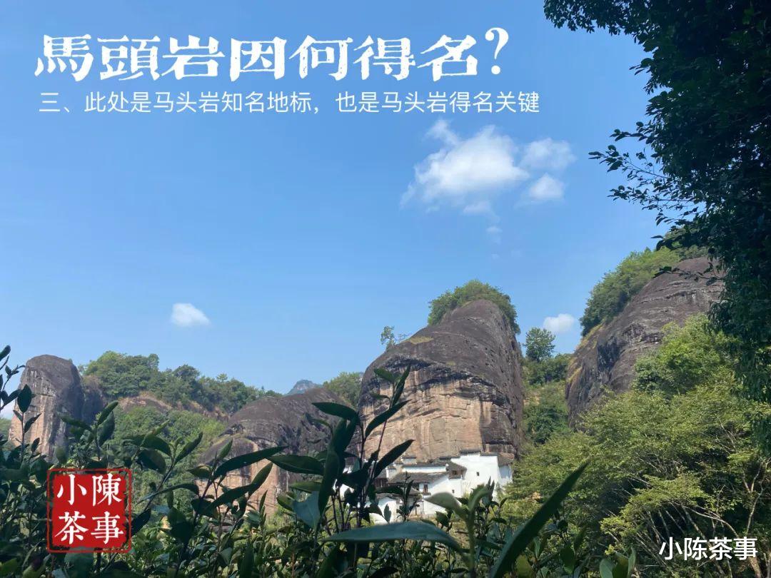 旅游业|岩茶里，大名鼎鼎的马头岩，到底是因何而得名？实拍图拿给你看