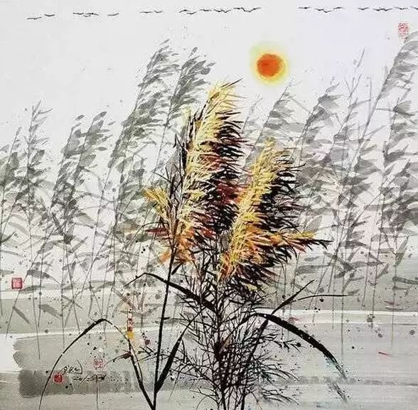 美丽 不管多忙，一定要看