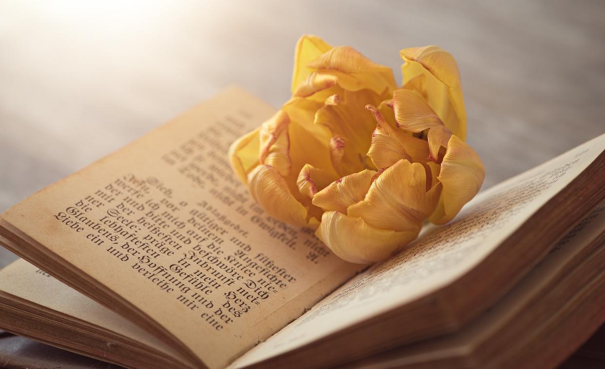 立足|职场中，越聪明的人，越会管住自己的嘴