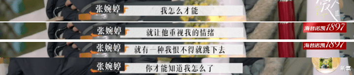 lisa|离婚综艺《再见爱人》上热搜，这才是婚姻结束的致命要点