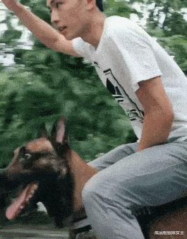 爆笑:大型翻车现场,朋友圈的假精致