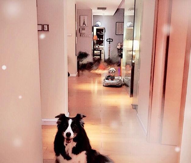 参观丁子峻住的豪宅，室内装修很浪漫，对老婆太宠爱了