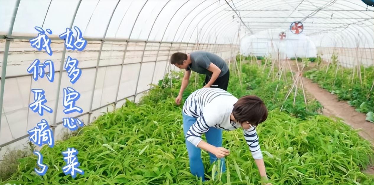 孙俪|邓超孙俪学校看女儿演出,全程捧手机拍照录像,与陈小春儿子同校