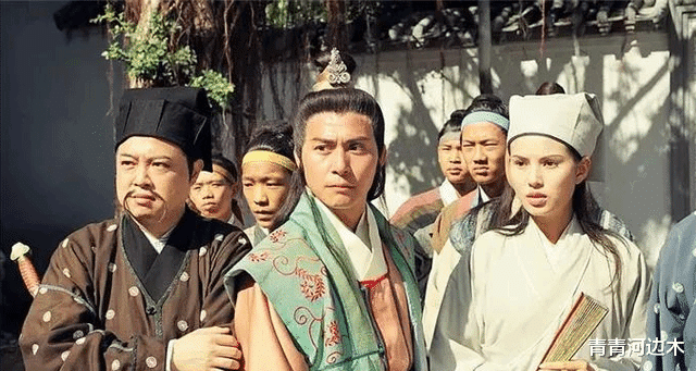 天龙后传:王语嫣与三个男子生了六男一女,其中四个儿子属于乔峰