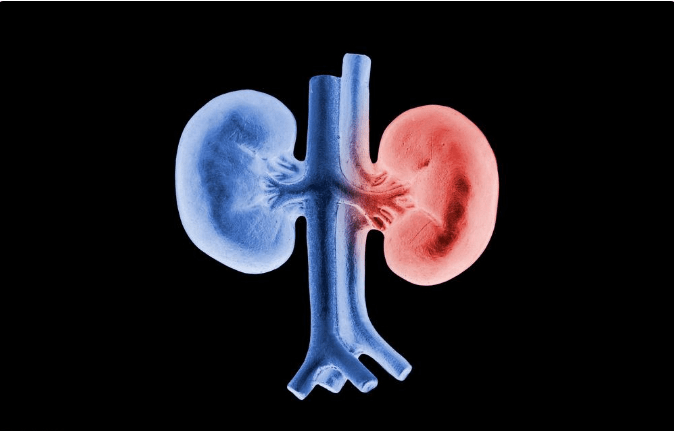 肾衰竭|肾小球滤过率下降，会发展到肾衰竭吗？医生告诉你答案