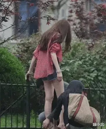 倪妮|剧没了,人还被骂,倪妮才是纯纯“大冤种”