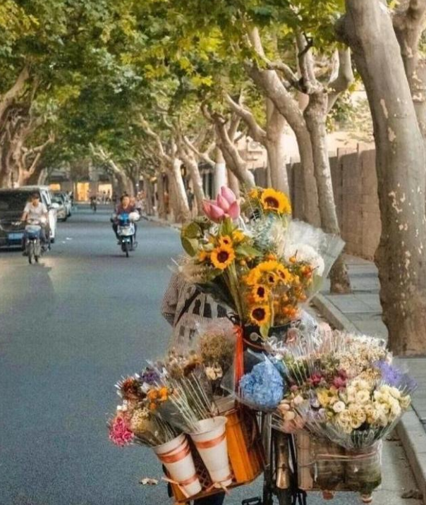 张子枫|张子枫盗图，玩艺人特权，将成为女版四字？