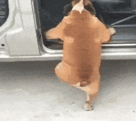 李晨|李晨与美女富婆吃大餐！头靠头合影显亲密，还曾在酒吧嗨玩到凌晨