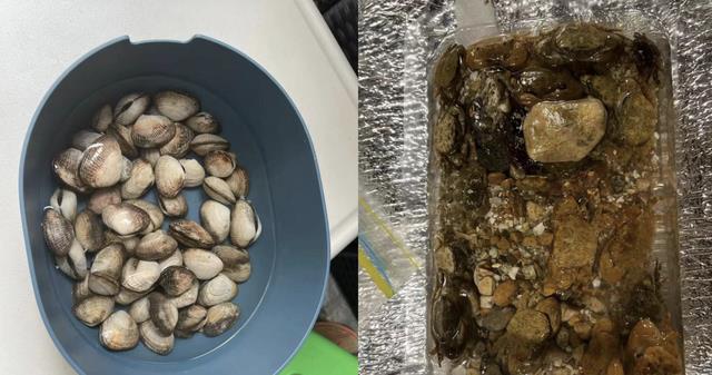 郭晶晶|代言接到手软,重返职场陪娃两不误,40岁郭晶晶是豪门媳妇天花板