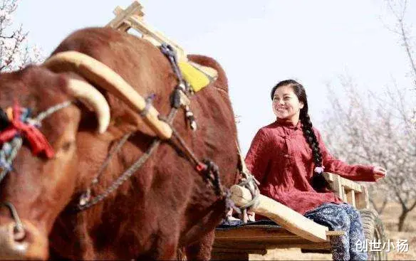 明星|为了当明星，被骗40万，负债120万，农村出来的崔苗如今怎样了？