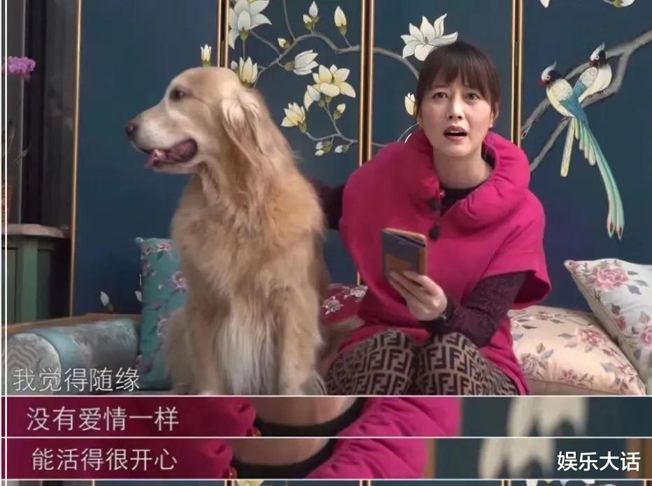 陈瑾|“天性爱自由”的4位女明星,个个坚持不婚不育,有的已遁入空门