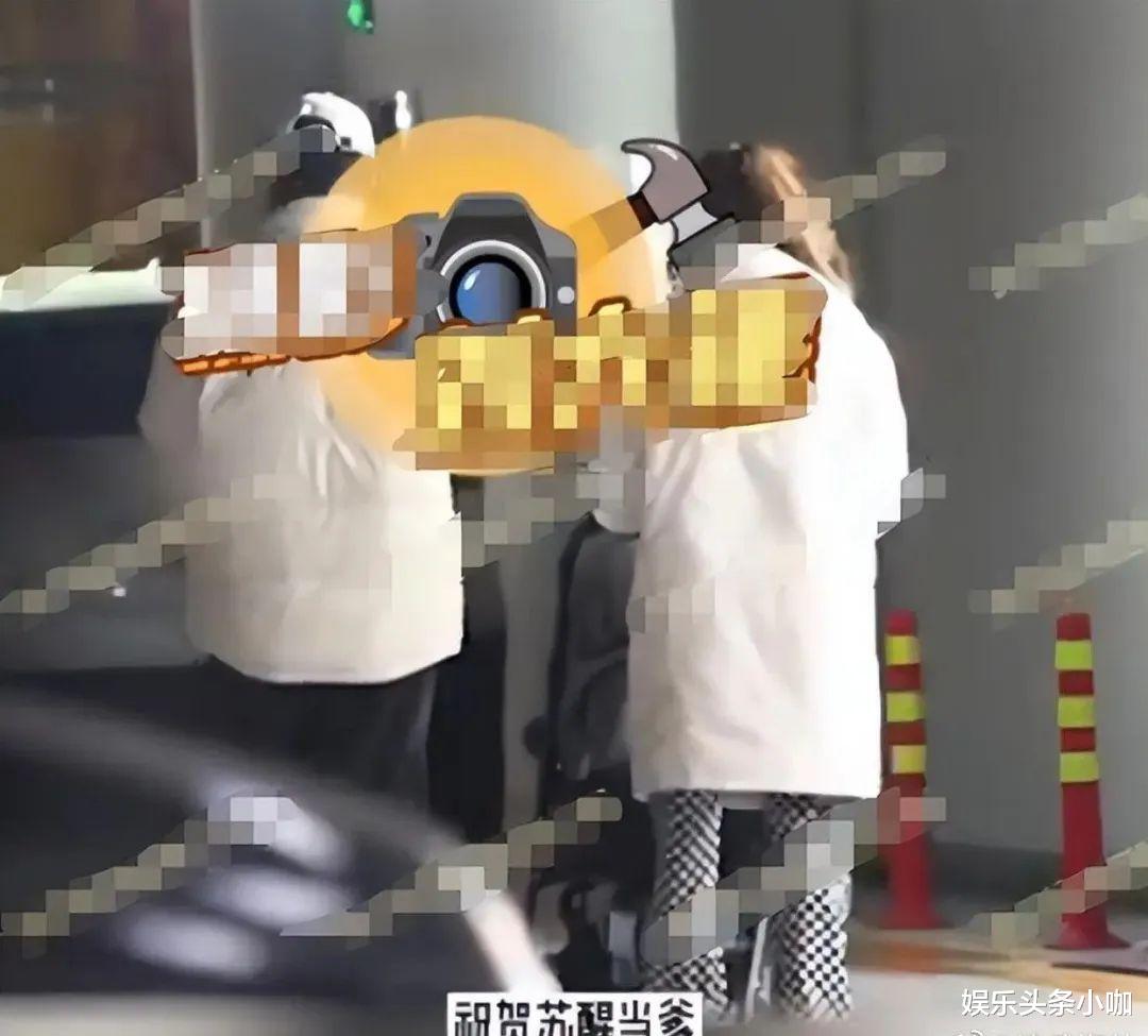 苏醒|才刚翻红,又想翻车了?