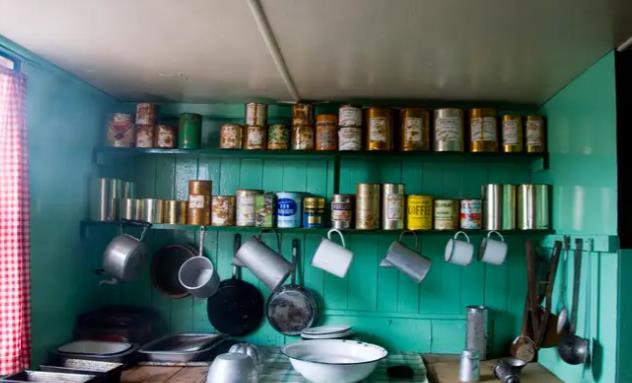 招聘|南极洲招人“数企鹅”，没wifi还得给企鹅铲屎，却有6000人抢着去！