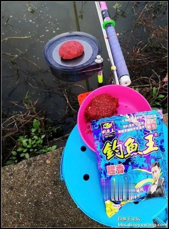 饵料|我用钓鱼王的饵料玩比赛