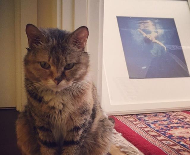 参观尼格买提住的豪宅,客厅铺了波斯地毯,装修富有异域风情