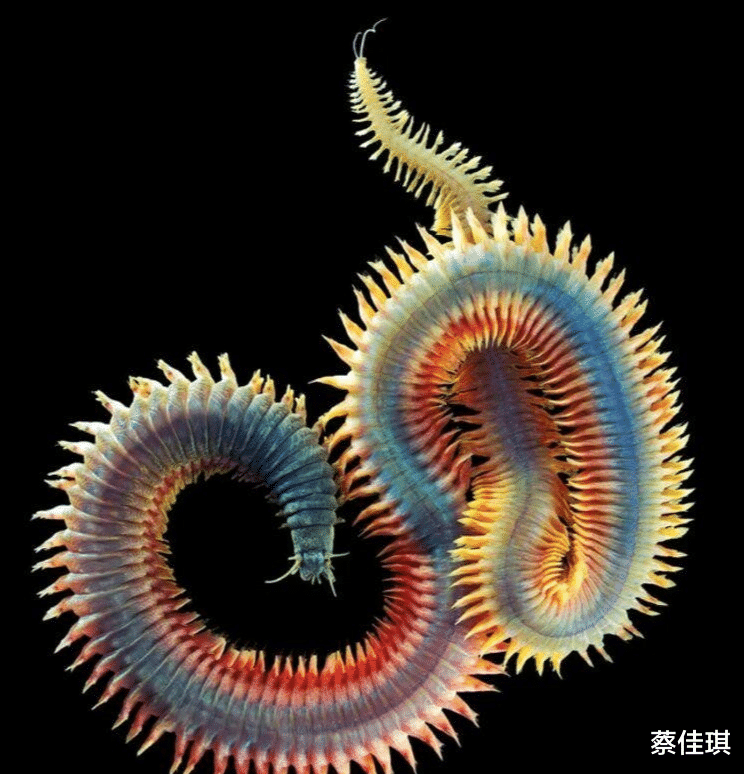 |22张图看世界：哥伦比亚农民挖到大量现金，盘龙古道S弯令人惊叹