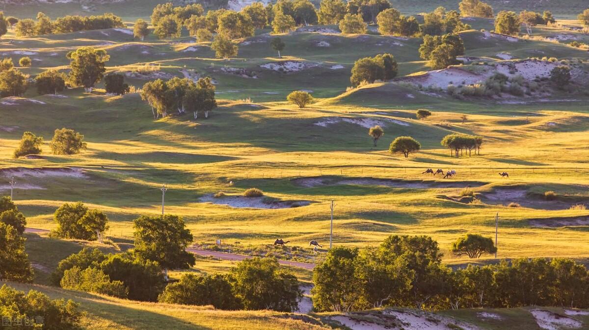 |郭进拴|绝美的坝上