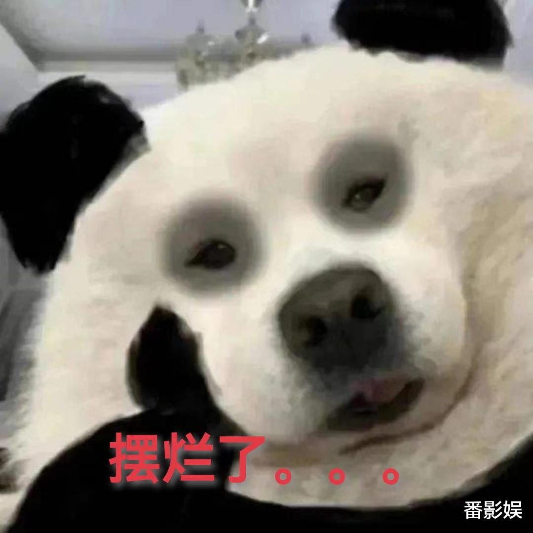 金鹰节|金鹰节这么敷衍?没有金鹰女神,汪涵发型被嘲,红毯走秀让人尴尬