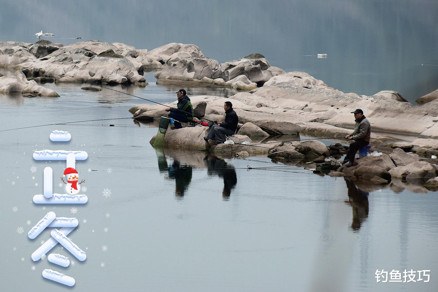 立冬|立冬之后钓鲫鱼要加虾粉，钓鱼虾粉的作用和正确用法