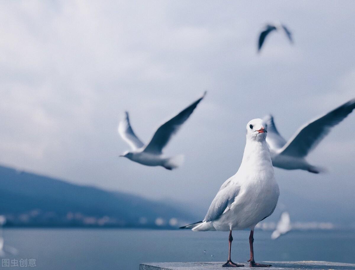 滕州|郭进拴|雨中游滇池