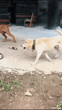 “一月80元的房子,我和女朋友整整租了半年!”兄弟腰挺好啊...