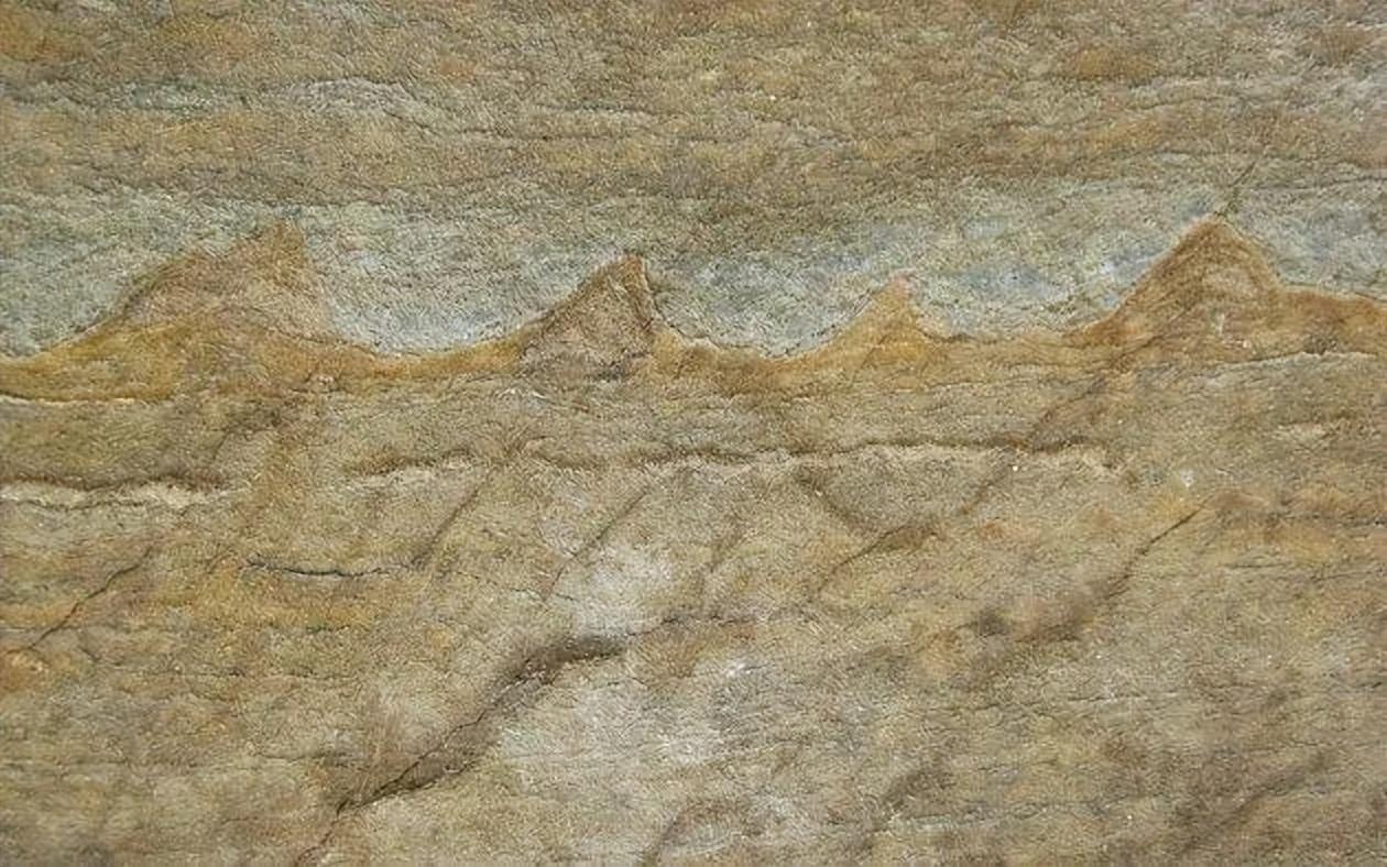 神秘力量导致80%的古生物忽然消失，并决定了现代生物的模样