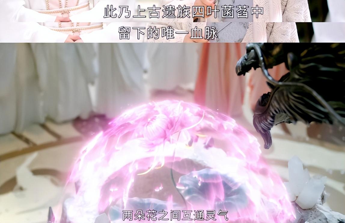 杨紫|杨紫新剧开播遭狂喷？观众：活该被骂，看腻了流水线作业