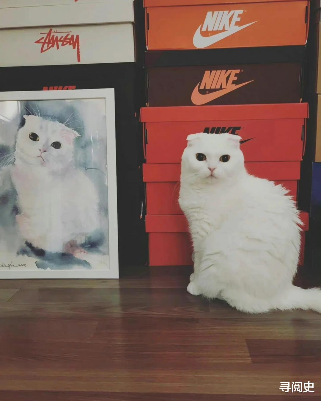 最后生还者|孔刘出道21年喜收粉丝贺礼，甜蜜晒爱侣照意外曝光惊人收藏！