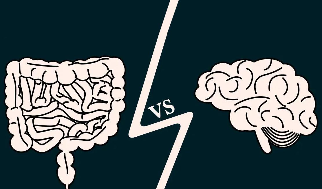 大脑和菌群谁才是人体控制者?有没有可能,人类是细菌的傀儡?