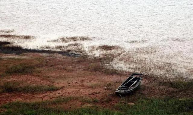 长江|长江三年禁渔成果是毁于天灾?